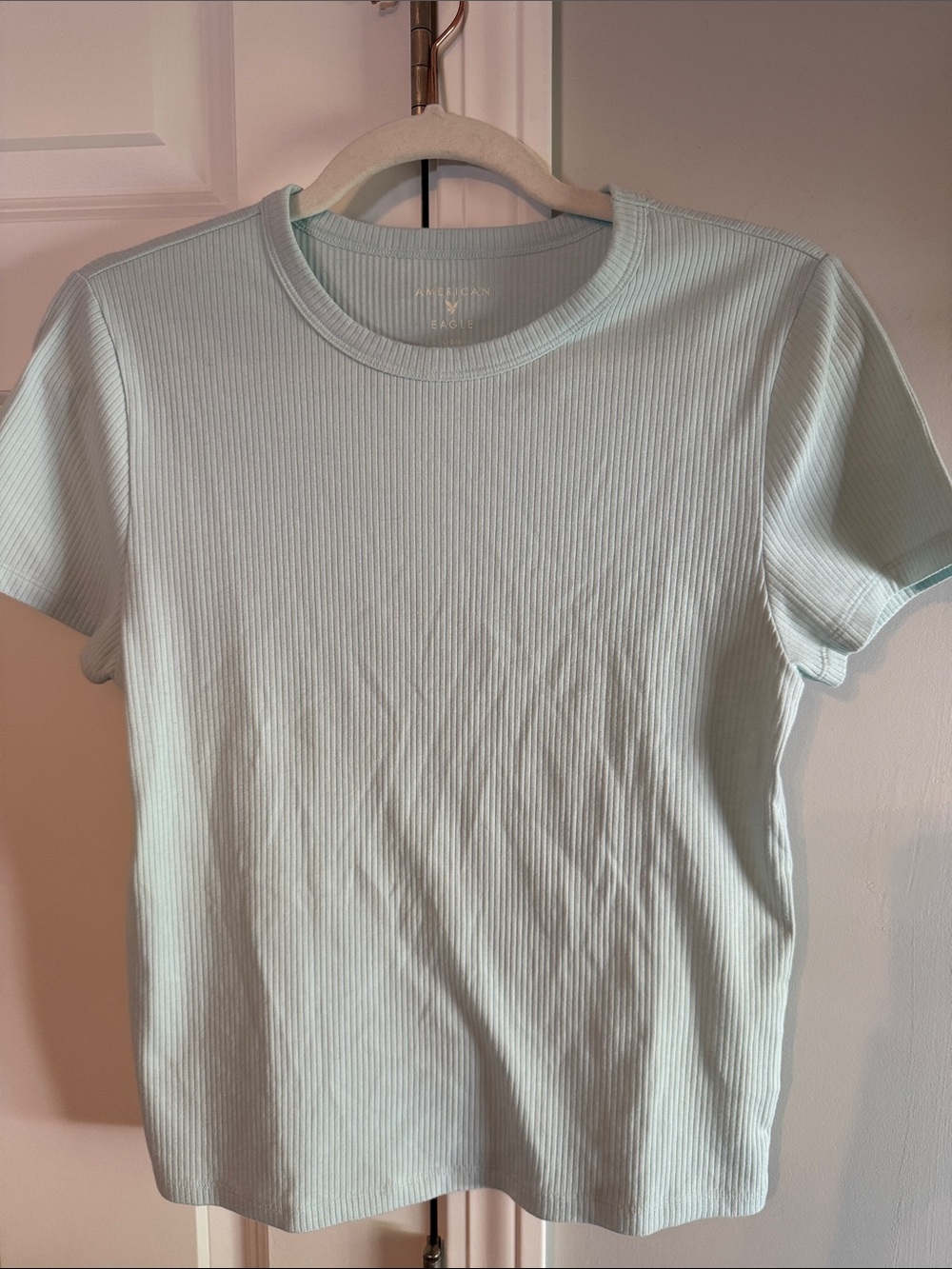 American Eagle Outfitters Ribbed Short Sleeve Tee in Light Mint